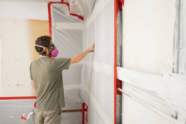 Best Comprehensive Air Testing for Mold Contaminants  in Zellwood, FL