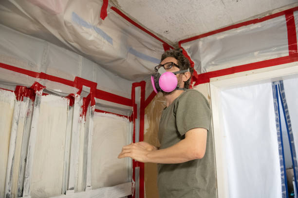 Best Airborne Mold Testing  in Zellwood, FL