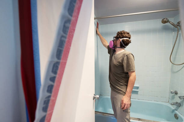 Best Emergency Mold Remediation  in Zellwood, FL