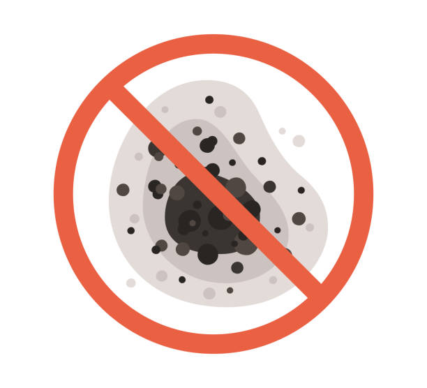 Best Air Quality Testing for Mold Spores  in Zellwood, FL
