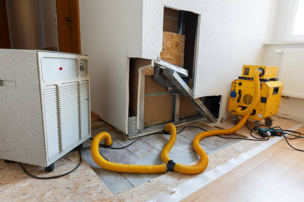 Best Mold Prevention Services  in Zellwood, FL