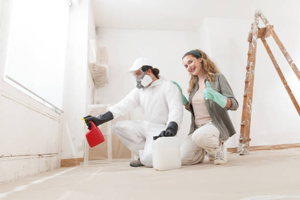  Zellwood, FL Mold Removal Pros